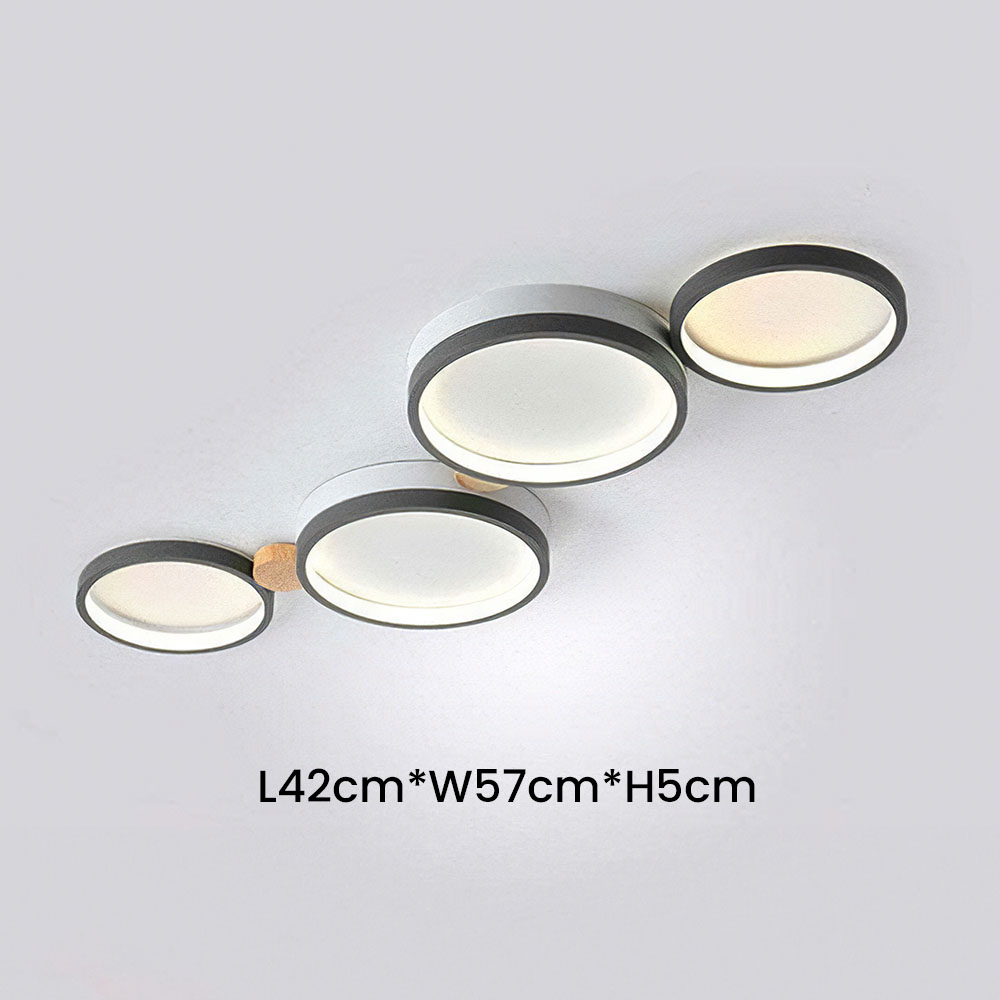 Modern Circle LED Ceiling Light Fixture For Livning Room