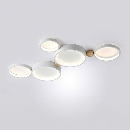 Modern Circle LED Ceiling Light Fixture For Livning Room