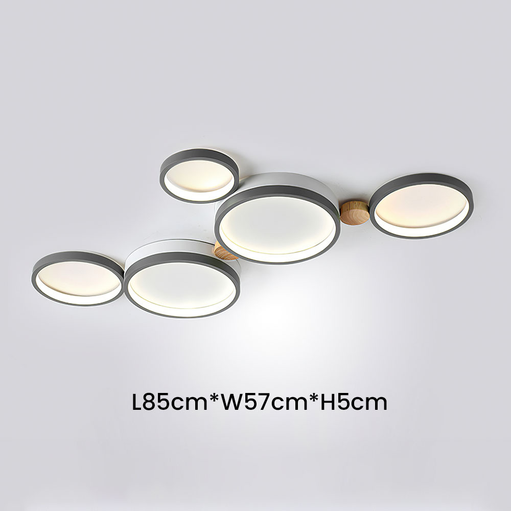 Modern Circle LED Ceiling Light Fixture For Livning Room