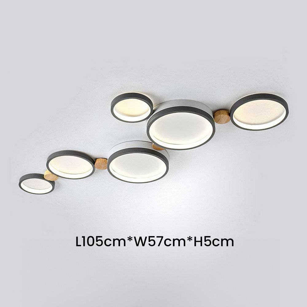 Modern Circle LED Ceiling Light Fixture For Livning Room