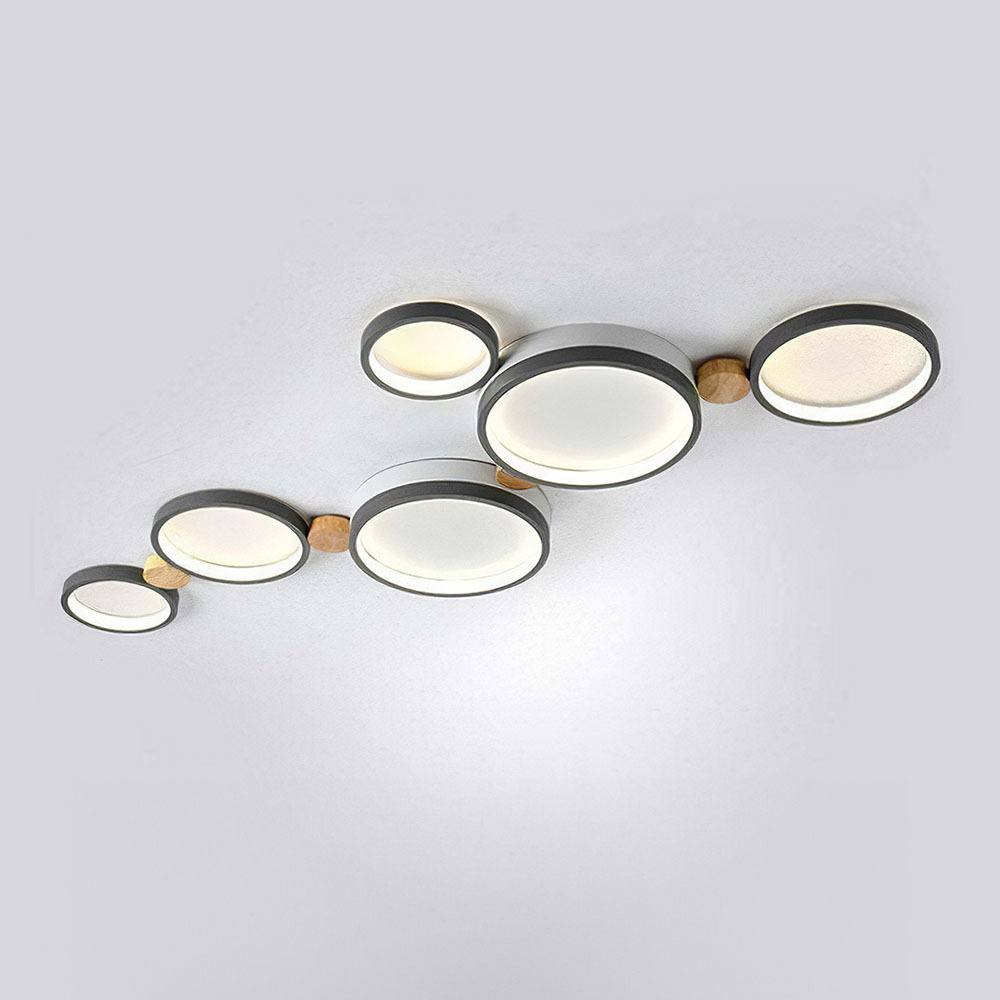 Modern Circle LED Ceiling Light Fixture For Livning Room