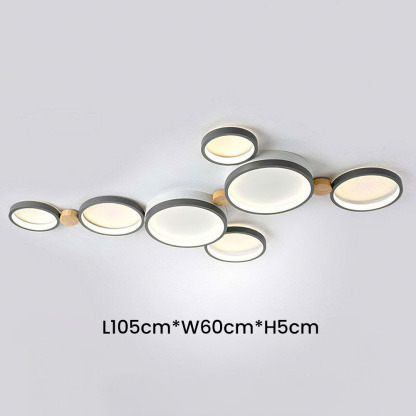 Modern Circle LED Ceiling Light Fixture For Livning Room