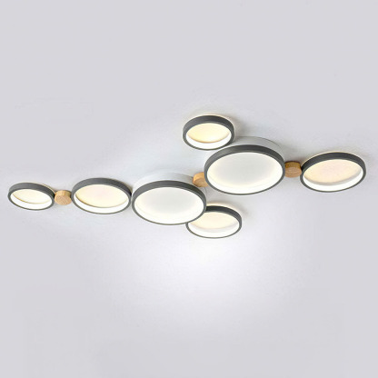 Modern Circle LED Ceiling Light Fixture For Livning Room