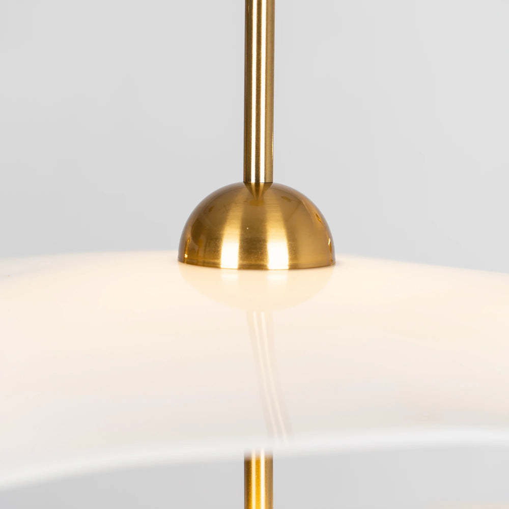 Gold Metal Acrylic Lotus Double Biscuit Pendant Light -Homdiy