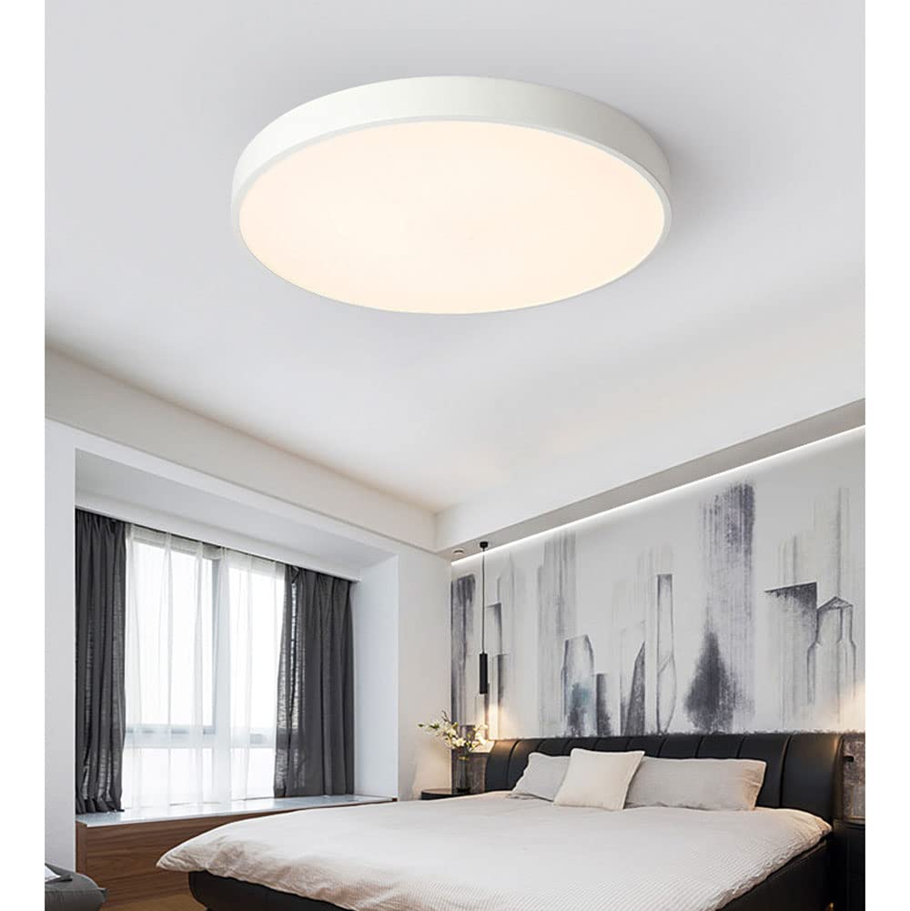 Minimalist LED Ceiling Light - Colorful Living Room Flush Mount