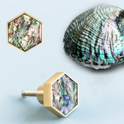 Hexagon Brass Drawer Pulls with Creative Shell Design for Wardrobes