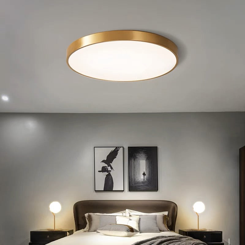 Minimalist LED Colorful Ceiling Lights For Living Room