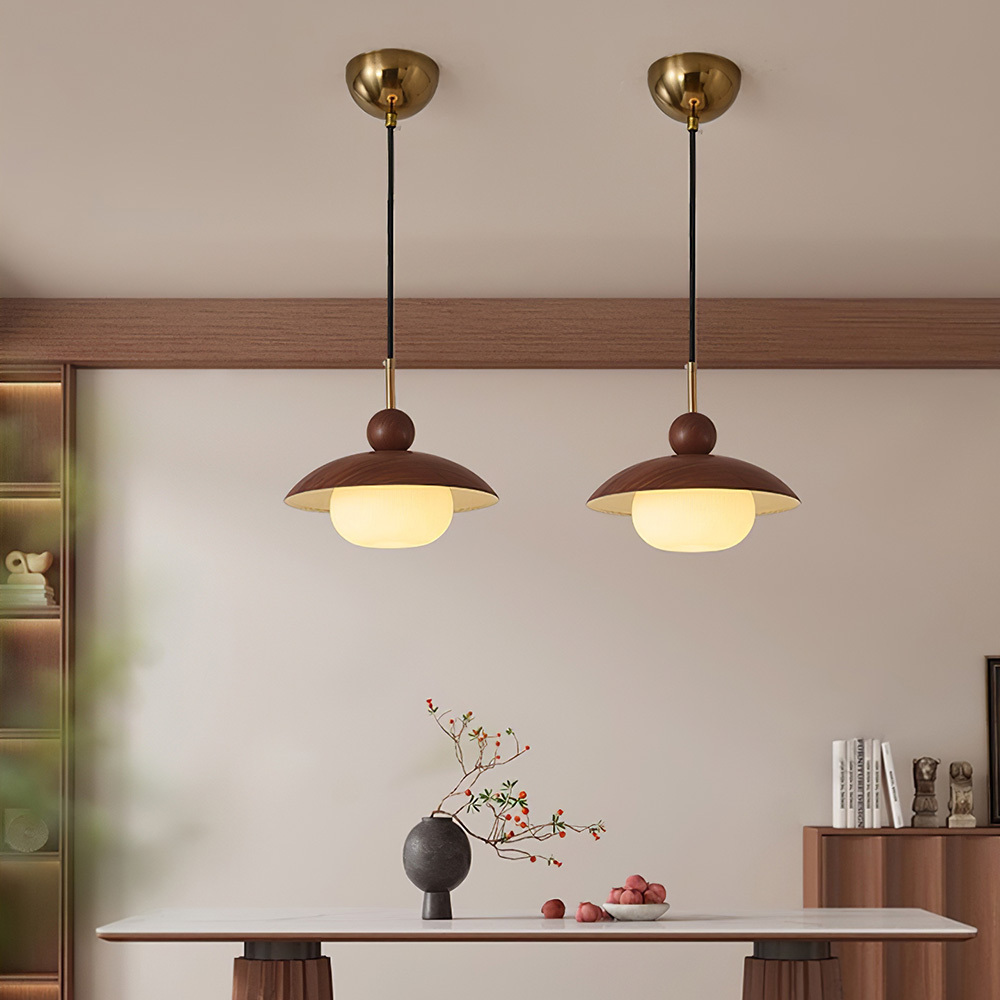Modern Industrial Brown Finish Iron Acrylic Pendant Light
