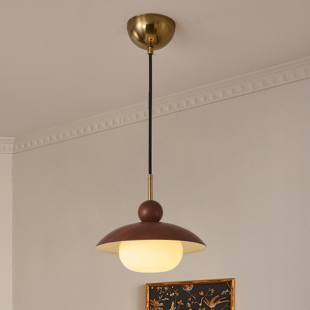 Modern Industrial Brown Finish Iron Acrylic Pendant Light