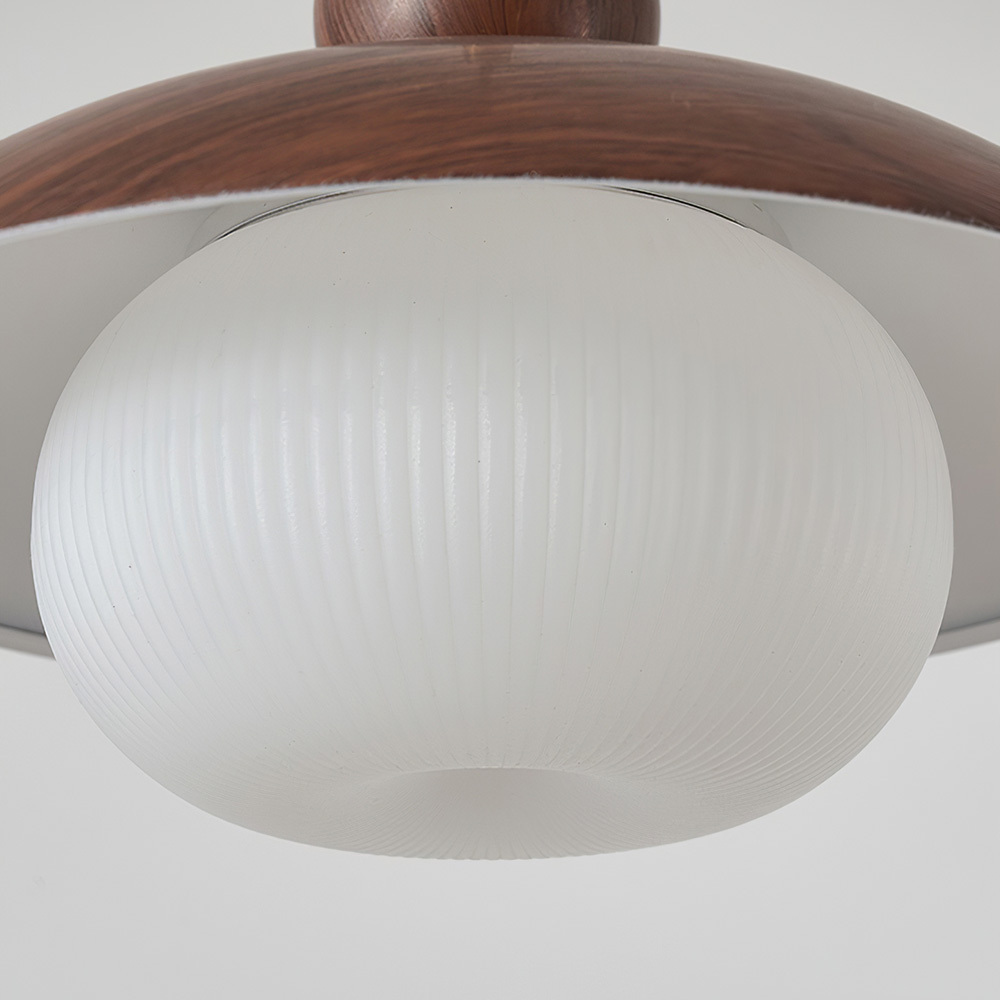 Modern Industrial Brown Finish Iron Acrylic Pendant Light