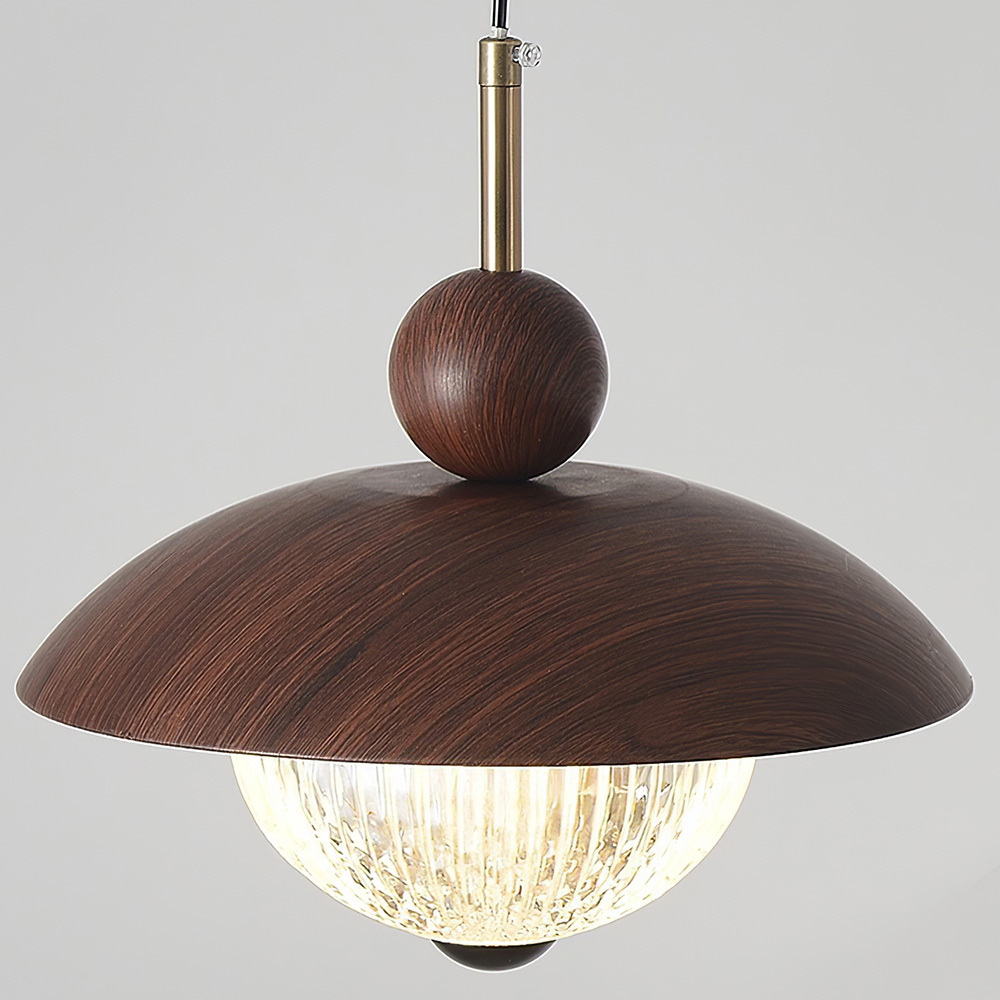 Modern Industrial Brown Finish Iron Acrylic Pendant Light