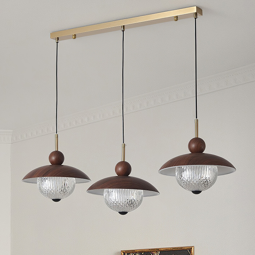 Modern Industrial Brown Finish Iron Acrylic Pendant Light