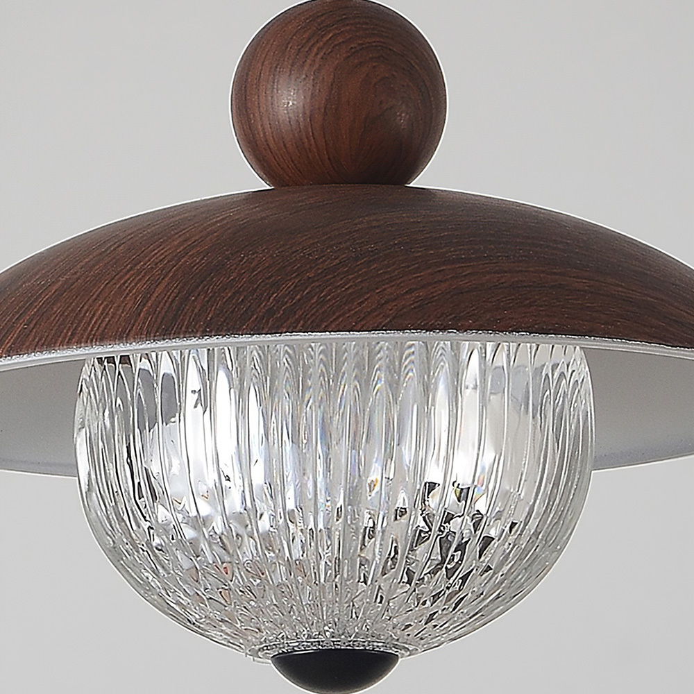 Modern Industrial Brown Finish Iron Acrylic Pendant Light
