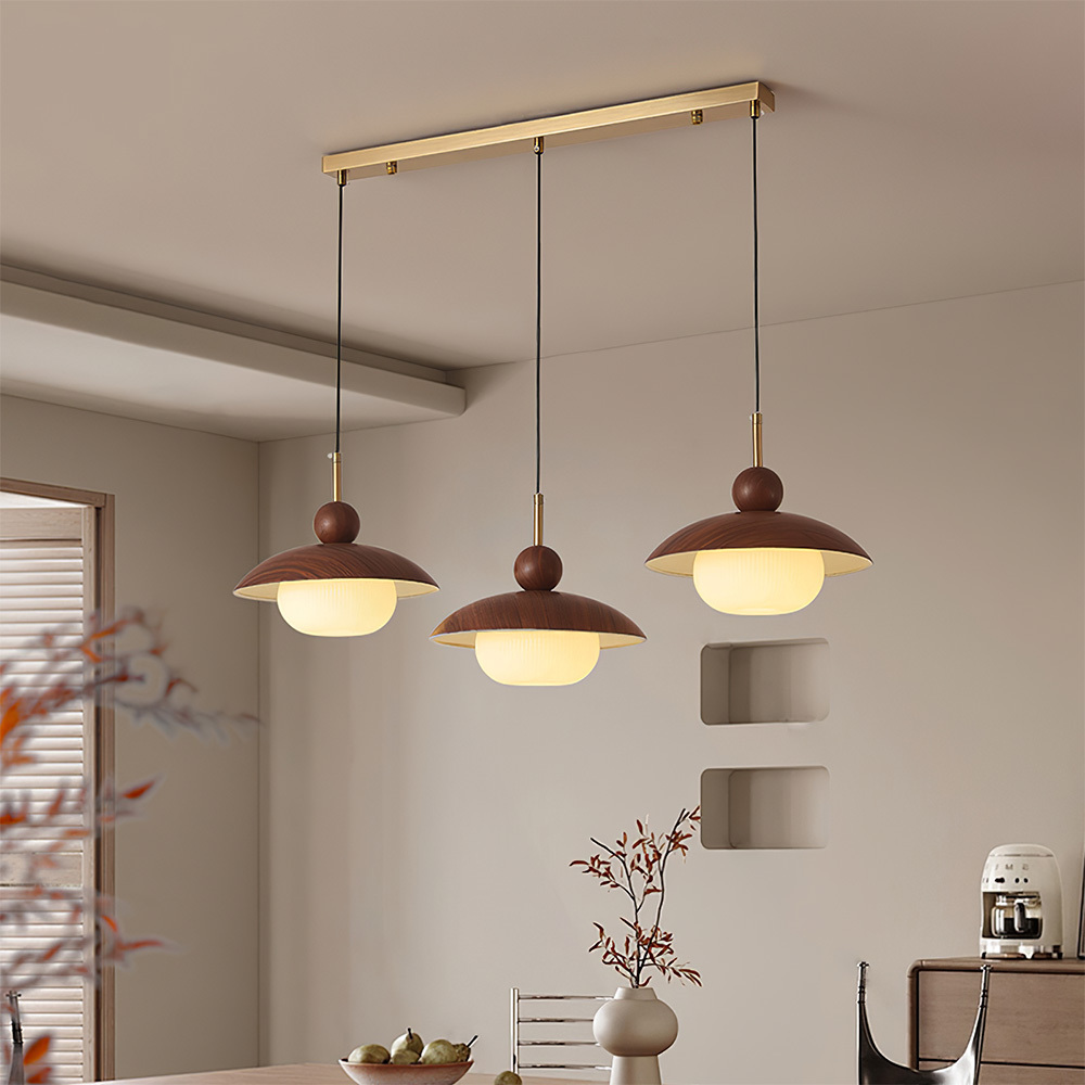 Modern Industrial Brown Finish Iron Acrylic Pendant Light
