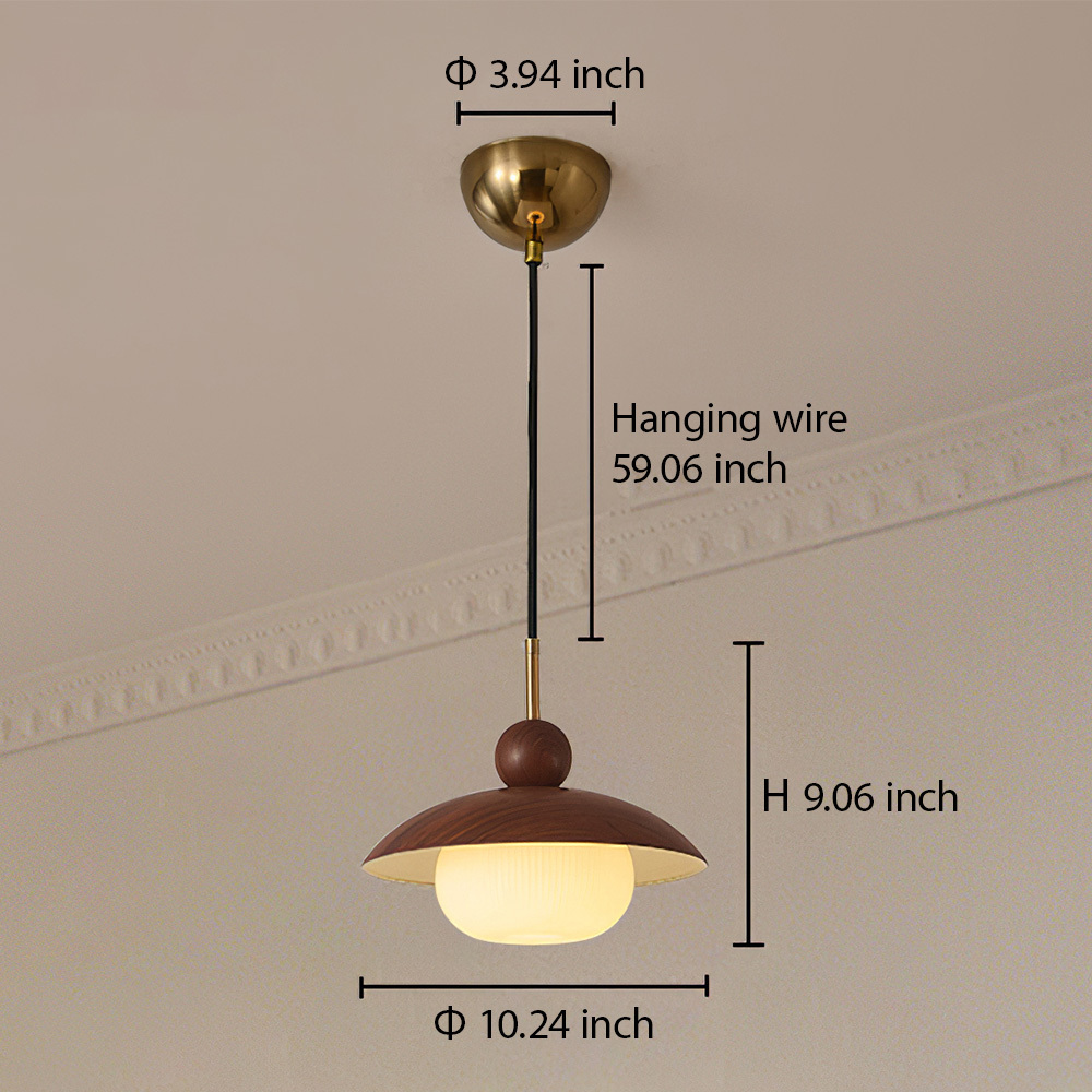 Modern Industrial Brown Finish Iron Acrylic Pendant Light