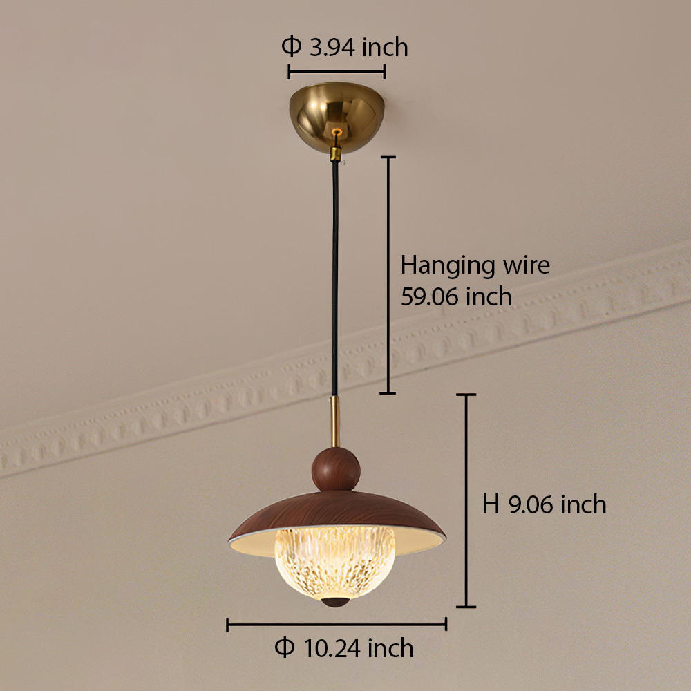 Modern Industrial Brown Finish Iron Acrylic Pendant Light