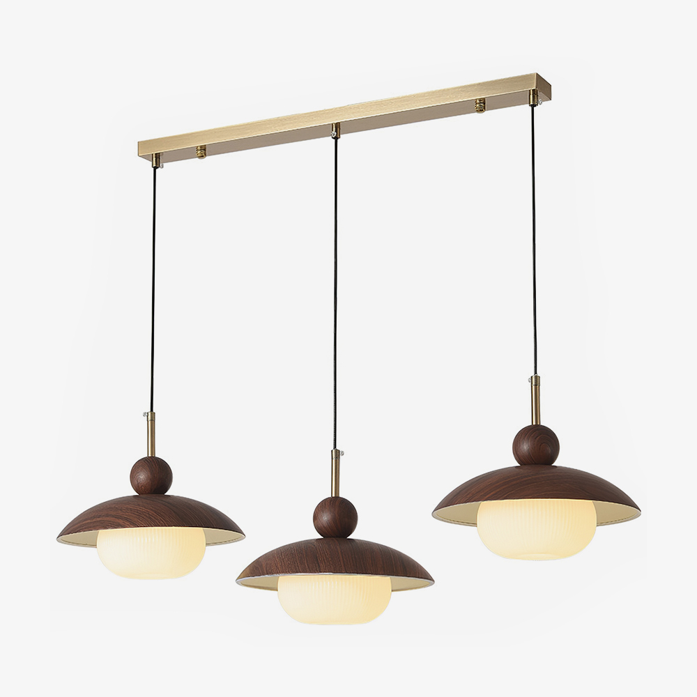 Modern Industrial Brown Finish Iron Acrylic Pendant Light