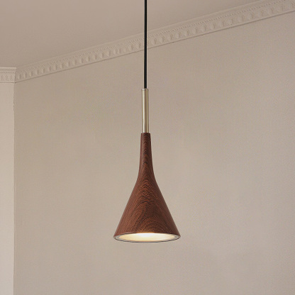 Modern Industrial Brown Finish Iron Acrylic Pendant Light