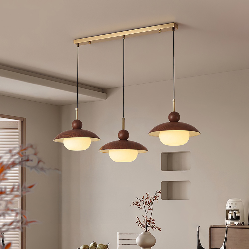 Modern Industrial Brown Finish Iron Acrylic Pendant Light