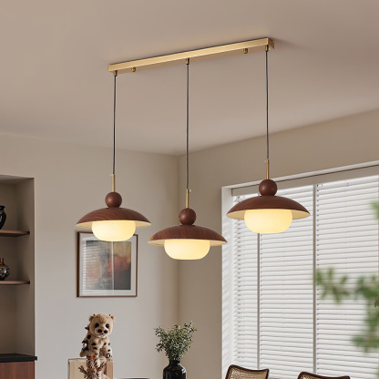 Modern Industrial Brown Finish Iron Acrylic Pendant Light