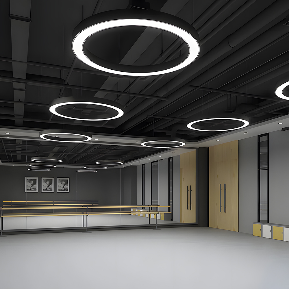 Modern Minimalist Round LED Pendant Flush Mount Ceiling Light 