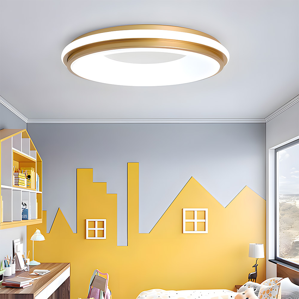 Modern Multicolor Acrylic LED Ceiling Light