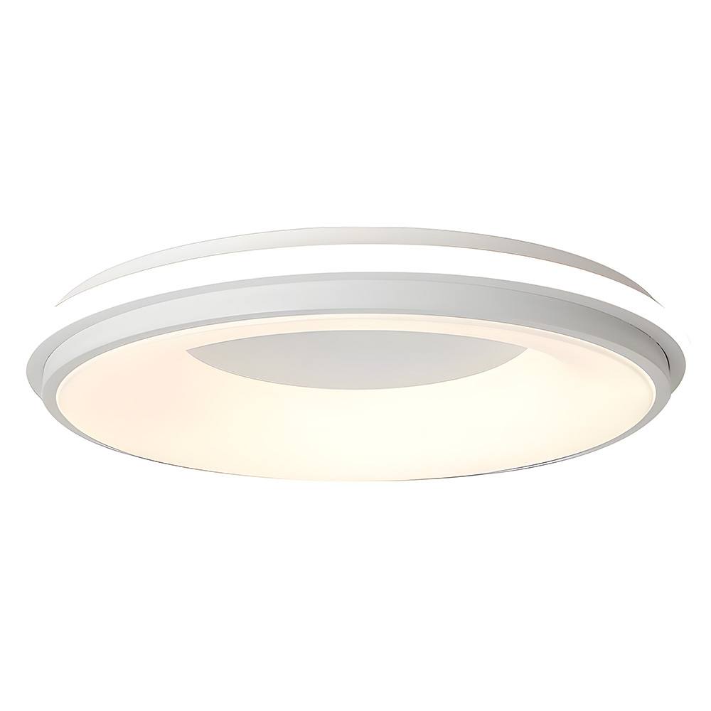 Modern Multicolor Acrylic LED Ceiling Light