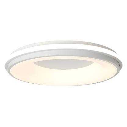 Modern Multicolor Acrylic LED Ceiling Light