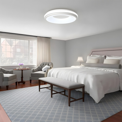 Modern Multicolor Acrylic LED Ceiling Light