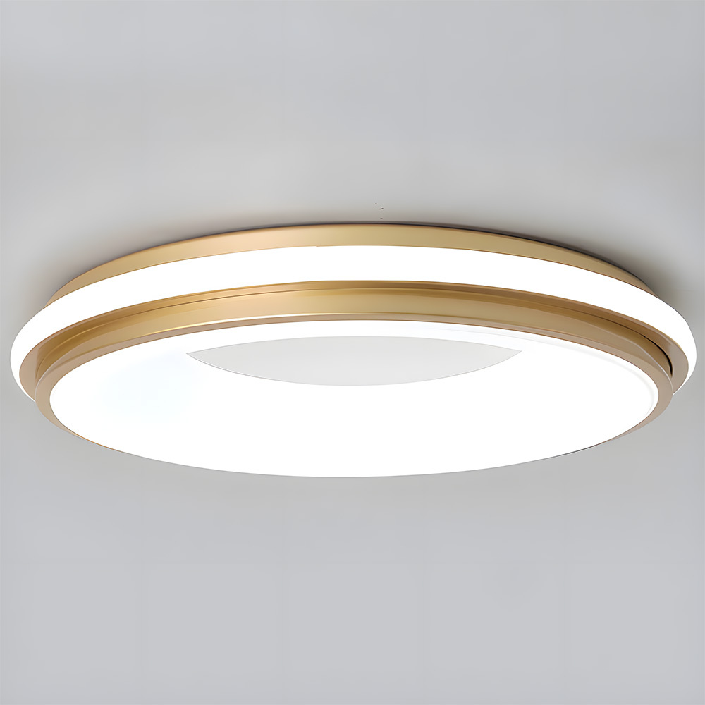 Modern Multicolor Acrylic LED Ceiling Light