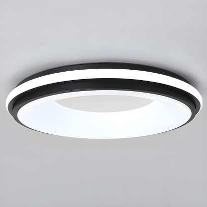 Modern Multicolor Acrylic LED Ceiling Light