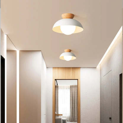 Nordic Eco-friendly Energy-efficient Ceiling Lamp Fixture -Homdiy