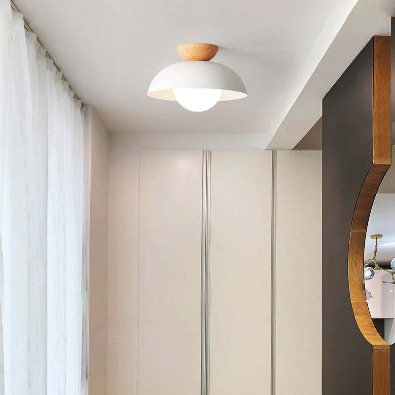 Nordic Eco-friendly Energy-efficient Ceiling Lamp Fixture -Homdiy