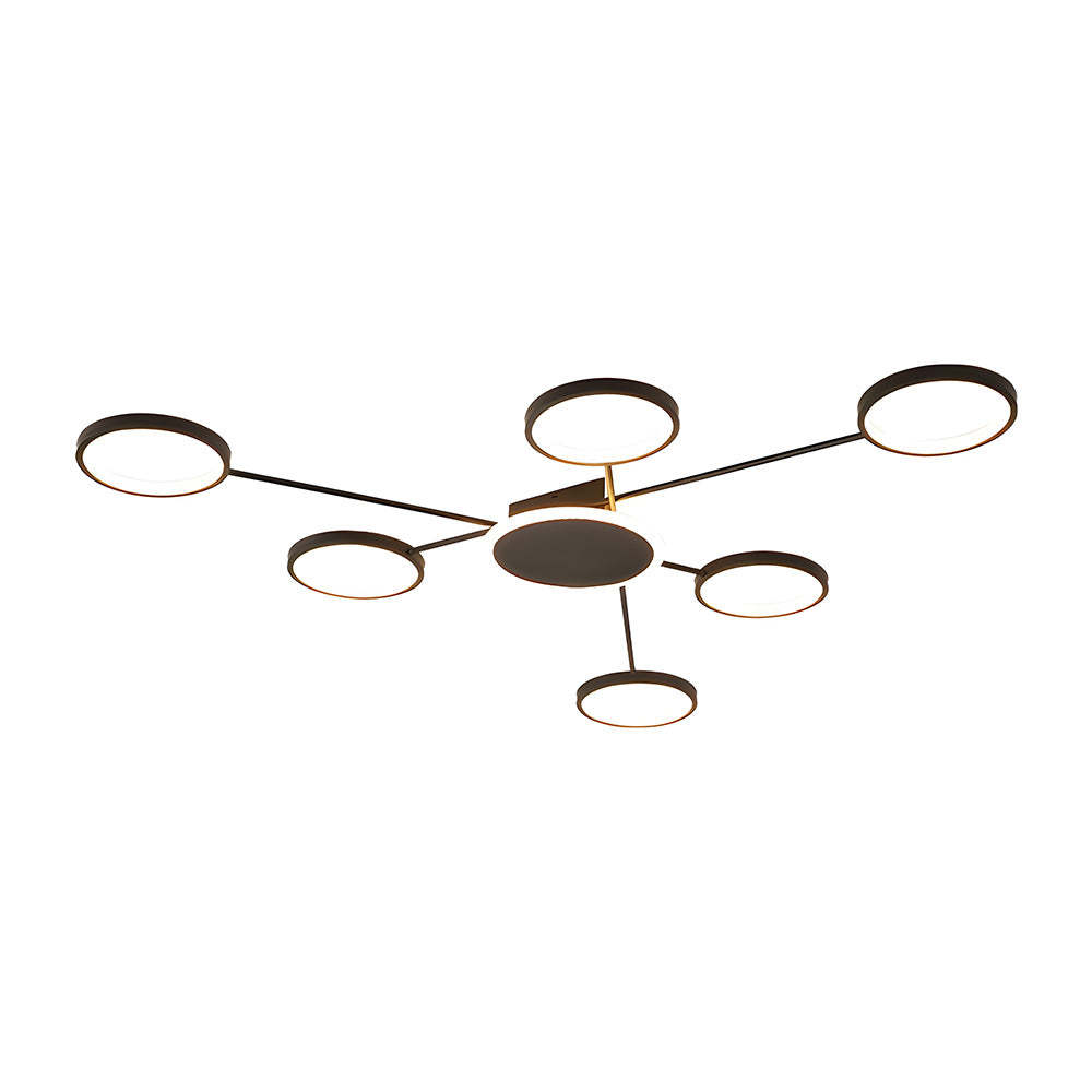 Modern Multi-Head LED Ring Ceiling Light