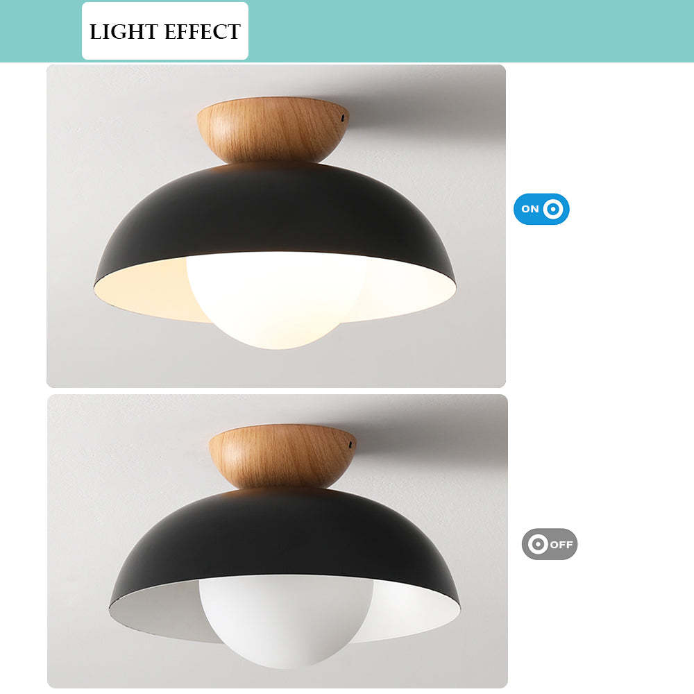 Modern Minimalist Eco-friendly Ceiling Light -Homdiy