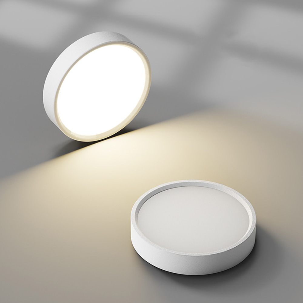 Modern Simple Round LED Hallway Ceiling Light