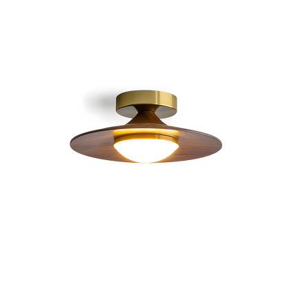 Contemporary Elegant Metal Led Hallway Ceiling Light-6