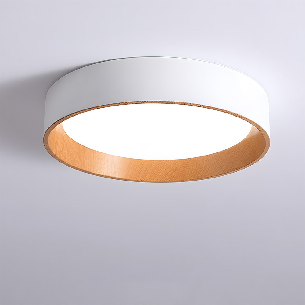 Modern Simple Metal Flush Living Room Ceiling Light Fixtures-4
