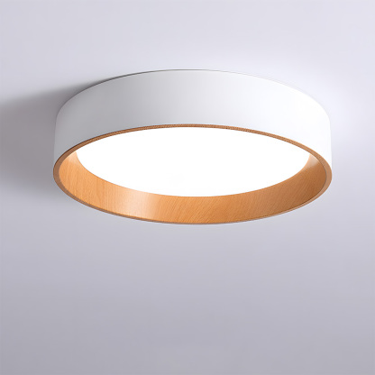 Modern Simple Metal Flush Living Room Ceiling Light Fixtures-4