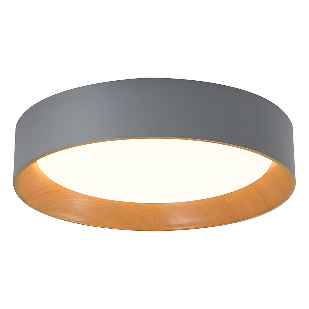 Modern Simple Metal Flush Living Room Ceiling Light Fixtures-8