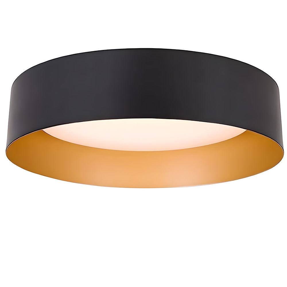 Modern Simple Metal Flush Living Room Ceiling Light Fixtures-13