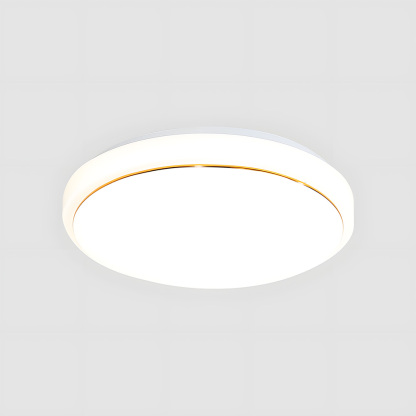 Simple White Acrylic LED Ceiling Light