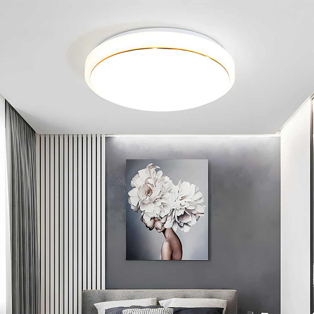 Simple White Acrylic LED Ceiling Light