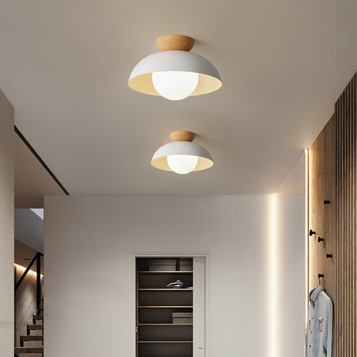 Homdiy Modern Ceiling Light Minimalist Black Ceiling Light