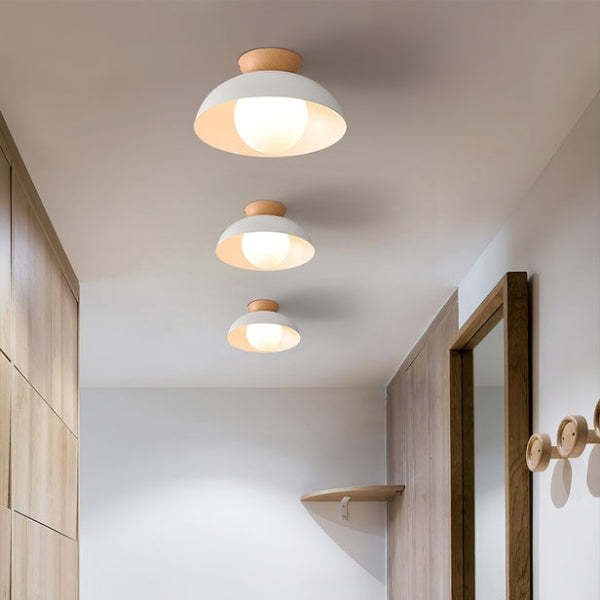 Nordic Eco-friendly Energy-efficient Ceiling Lamp Fixture -Homdiy