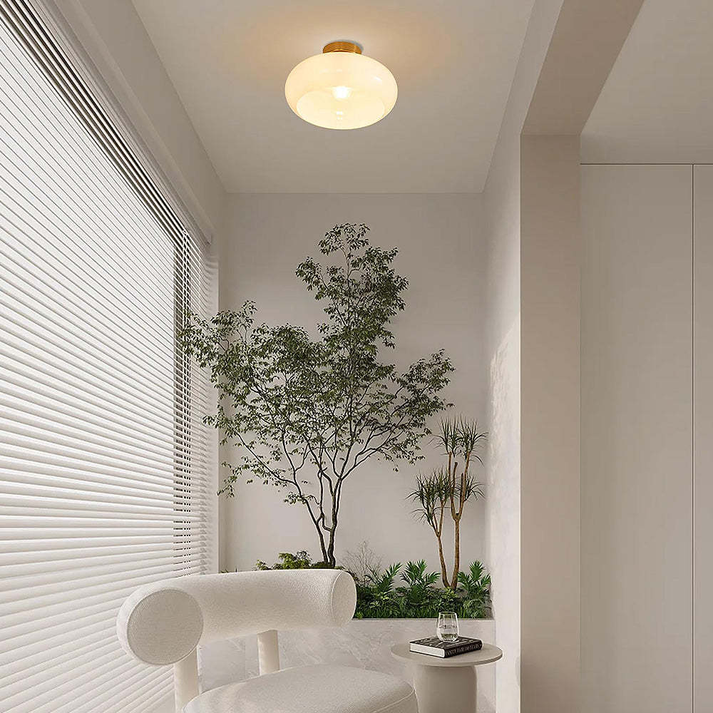 Retro Round Glass Shade Ceiling Light -Homdiy