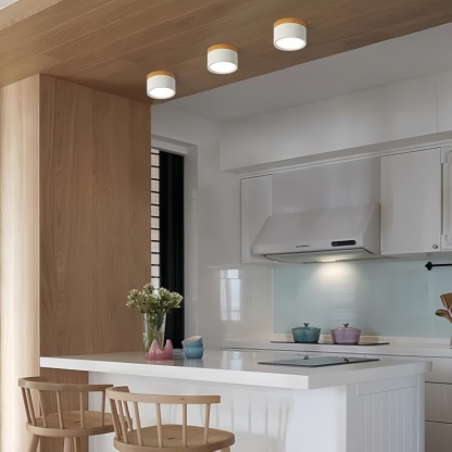 Nordic Cylinder LED Hallway Ceiling Lights