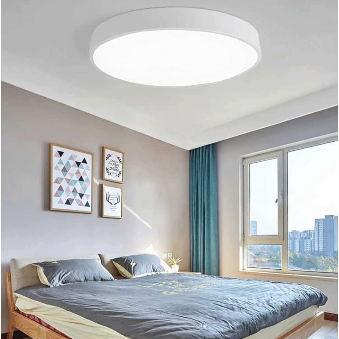 Minimalist LED Ceiling Light - Colorful Living Room Flush Mount