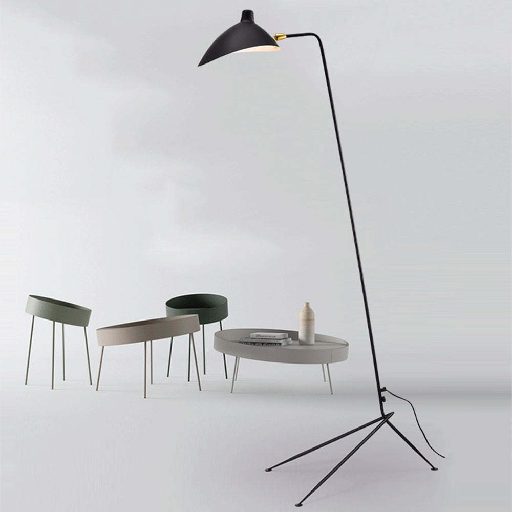 Single Light Duckbill Floor Lamp with Tripod -Homdiy