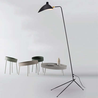 Single Light Duckbill Floor Lamp with Tripod -Homdiy
